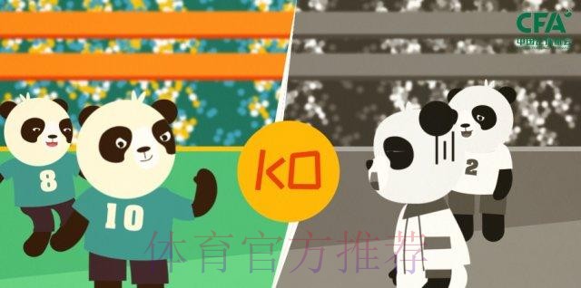 《熊猫说球》第七集：视频助理裁判